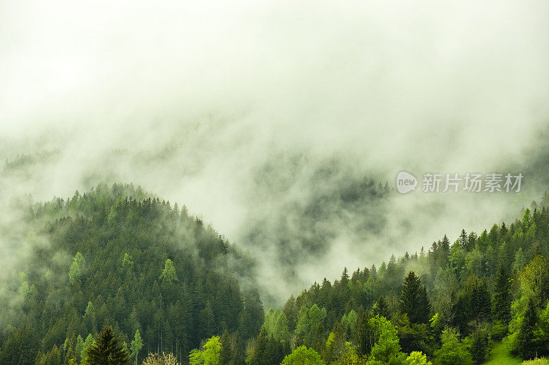 春天在Zgornje Jezersko山谷森林上空的云层